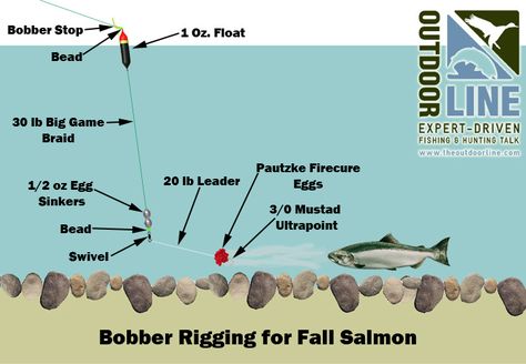 Fall Salmon, Saltwater Fishing Gear, Steelhead Fishing, Saltwater Fishing Lures, How To Fish, Trout Fishing Tips, Salmon River, Salt Water Fishing, Bass Fishing Tips