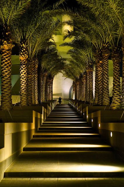 Museum of Islamic Art,Qatar Islamic Garden, Islamic Museum, Museum Of Islamic Art, Structure Design, Islamic Architecture, Doha, Landscape Lighting, Beautiful Scenery, The Palm