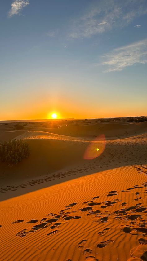 Sunrise desert morocco travel sand Egypt Desert Aesthetic, Sunset In The Desert, Sahara Desert Morocco, Sahara Desert Aesthetic, Arabian Desert Aesthetic, Sunset In Desert, Desert Pics, Arab Desert, Egypt Desert