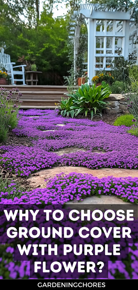 Why You Should Choose Ground Cover Plants with Purple Flowers Flowering Ground Cover Perennials, Deck Gardens, Ground Cover Flowers, Ground Cover Seeds, Purple Perennials, Spanish Courtyard, Purple Flowering Plants, Flower Planting, Front Landscape