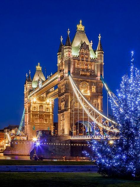 London Christmas _ Tower Bridge,  England Christmas In London, Christmas In England, Visit Edinburgh, London Attractions, Tower Bridge London, London Christmas, London Town, London Calling, London Love