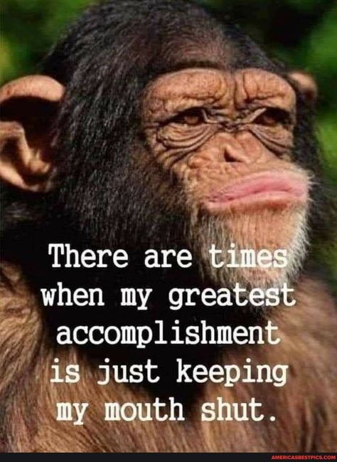 Masters Quotes, Animal Humor, Morning Quotes Funny, Good Morning Funny, Monkeys Funny, Funny Cartoon Quotes, My Mouth, Cartoon Quotes, Sarcastic Quotes Funny