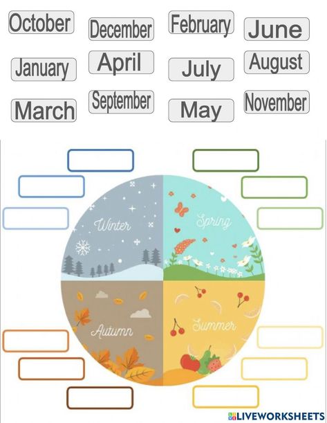 Months and seasons interactive worksheet for 3-12. You can do the exercises online or download the worksheet as pdf. Seasons Activities Worksheets, Day Of Week Activities, Months Worksheet For Kids, Months And Seasons Worksheet, Seasons Worksheets For Kids, Months Of The Year Activities, Month Worksheet, Season Worksheet, Learn English Kid