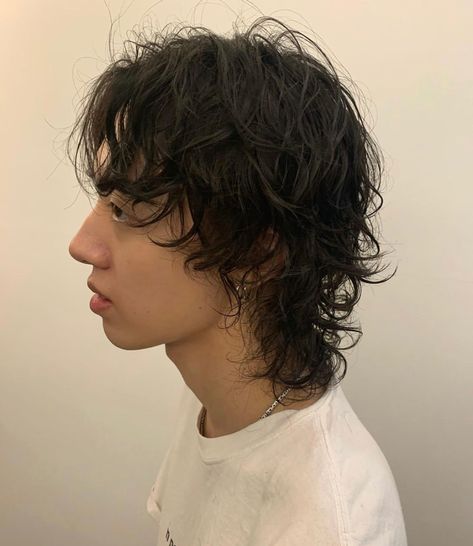 Male Shag Mullet, 70s Hairstyles Men Long, Men's Wolfcut, Men’s Wolf Cut Hair, Curly Shag Haircut Men, Wolfcut Mullet Male, Curly Hair Wolf Cut Men, Short Shag Men, Shag Hair Men