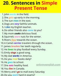 Present Simple Tense is also known as present indefinite as a verb, which is used to describe your habit, routine, and repetition. Simple Present Tense Sentences, Present Tense Sentences, Present Simple Tense, Simple English Sentences, Verbo To Be, English Grammar Exercises, English Grammar Tenses, Simple Present Tense, Simple Past