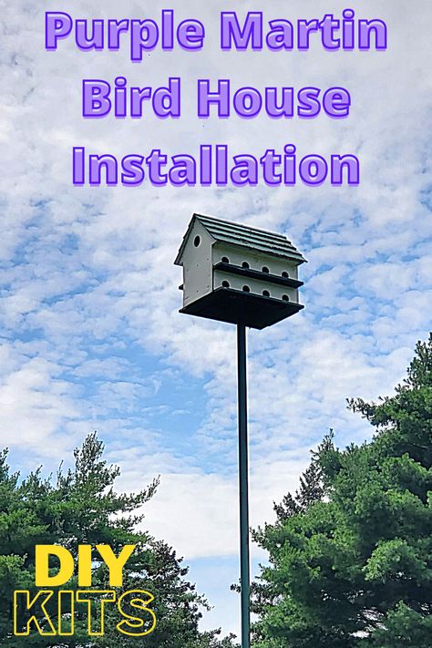 Purple Martin House Pole, Diy Purple Martin Birdhouse Plans, How To Attract Purple Martins, Purple Martin House Plans Free, Martin Bird House Plans, Purple Martins Birds, Purple Martin Houses Diy, Martin House Birdhouses, Purple Martin Birdhouse Plans