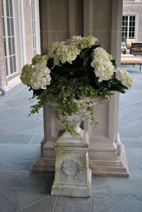 Charleston Gardens, Tuscan Garden, White Hydrangeas, Garden Urns, The Enchanted Home, Easy Landscaping, Enchanted Home, Classic Garden, Garden Containers