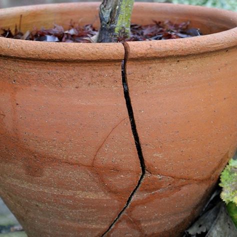 Terracotta Planters Outdoor, How To Make Terracotta Pots, Large Terracotta Pots Outdoor, Outdoor Terracotta Pots, Terracota Pots Garden Ideas, Terracotta Pot Garden, Terracotta Planter Ideas, Terracotta Pots Garden, Bridesmaid Dresses Terracotta