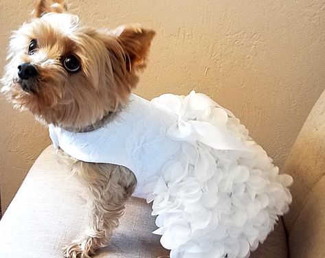 Etsy :: Your place to buy and sell all things handmade Dog Wedding Outfits, Dog Wedding Attire, Dog Wedding Dress, Puppy Dress, Robes D'occasion, Dog Clothes Patterns, Wedding Pets, Dog Dress, Pet Dress