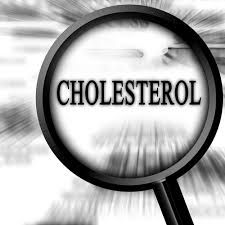 The Benefits of High Cholesterol | Diverse Health Services Coronary Artery, Coronary Arteries, Detective Agency, Private Investigator, Research Studies, Alzheimers, Acupuncture, Natural Health, Costa Rica