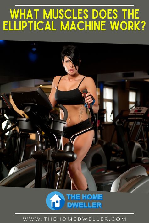 The elliptical machine is an amazing addition to every home gym. So let’s dive in and find out about each major muscle group you target with an elliptical machine. #ellipticalhiit #hiitonelliptical #ellipticalworkout #ellipticalhiitworkout Elyptic Workout, Best Elliptical Machine, Nautilus Machine Workout Routine, Elliptical Workout Benefits, Elliptical Before And After, Elliptical Benefits, Elliptical Machine Workout, Elliptical Workout, Elliptical Trainer