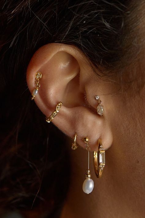 Piercing Inspo For Small Ears, Ear Piercing Collection, Super Pierced Ears, Ear Cluster Piercing, Fantasy Ear Piercings, Gold Earring Stack Aesthetic, Earrings With Gemstones, Pearl Ear Curation, Ear Piercings With Tragus