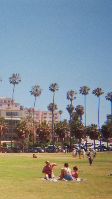 San Diego Film Photography, La Jolla California Aesthetic, California Friends Aesthetic, La Jolla Aesthetic, San Diego California Aesthetic, Rich Moodboard, Beach Film, La Summer, University Of San Diego