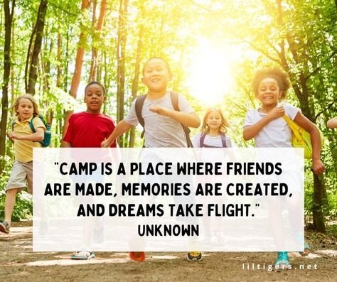 130 Best Summer Camp Quotes and Sayings Exploring Quotes Adventure, Summer Camp Quotes, Camp Quotes, Camp Memories, Experience Quotes, Impress Quotes, Explore Quotes, Camping Quotes, Summer Humor