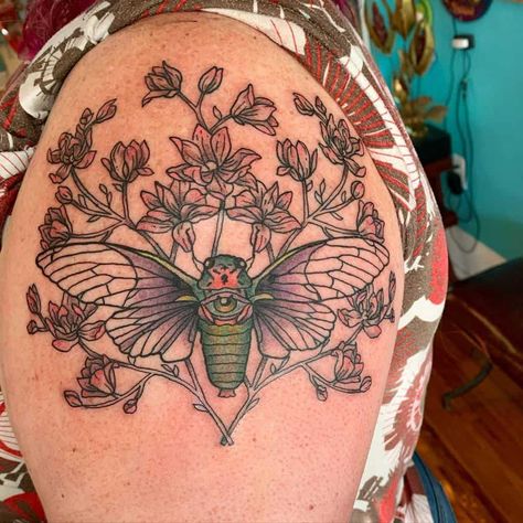 Open Wing Cicada Tattoo, Katydid Tattoo, Cicada Back Tattoo, Cicada Tattoo Color, Cicada Chest Tattoo, Cicada Line Art, Butterfly Sleeve Tattoo, Cicada Tattoo, Fake Skin