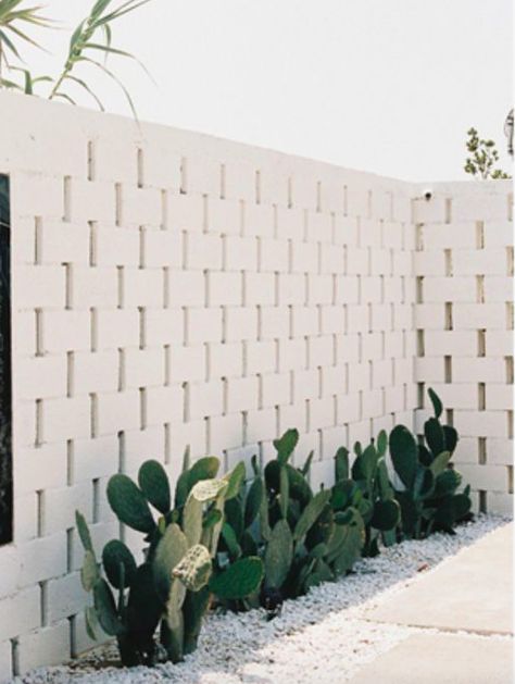 A world of #minimalist #white #spaces -Outdoors Breeze Block Wall, Tanaman Indoor, Screen Wall, Breeze Blocks, Wildlife Garden, Desain Lanskap, Have Inspiration, White Brick, घर की सजावट