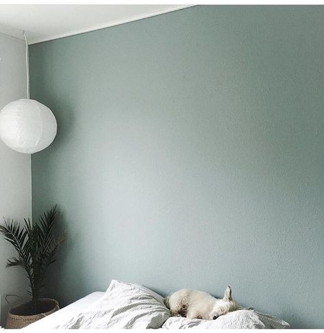 dusty green walls - Google Search House Wall Paint, Home Palette, Colour Home, Colors For House, Mint Walls, Home Wall Painting, Wall Colour, Nordic Scandinavian, Dusty Green