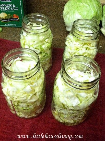 Canning Cabbage, Recipe For Cabbage, Sour Kraut, Canning 101, Food Preserving, Preserving Foods, Canning Pickles, Canning Ideas, Home Canning Recipes