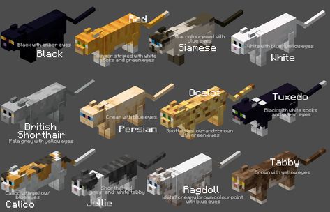 Cat In Minecraft, Minecraft Tools, Minecraft Building Guide, Minecraft Images, Minecraft Blocks, Bangunan Minecraft, Easy Minecraft Houses, Cool Minecraft Creations, Diy Minecraft