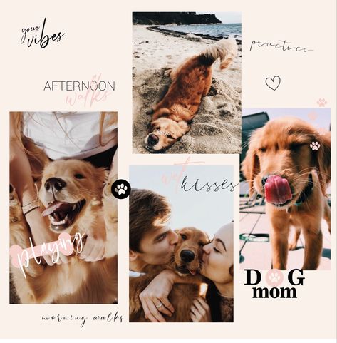 Instagram Story Stickers are the perfect way to make your Instagram stories stand out and make your social media look cute and professional. Dog Instagram Story Stickers, Dog Birthday Instagram Story, Dog Insta Story, Puppy Instagram Story, Pets Instagram Story, Dog Instagram Story, Dog Instagram Captions, Igs Ideas, Instagram Story Sticker