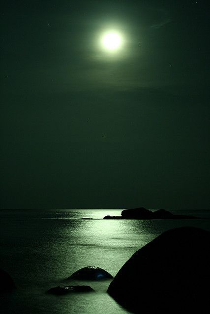 Sea by Night, photo by magnusvk on flickr Pulau Tioman, Dark Green Wallpaper, Shoot The Moon, Dark Green Aesthetic, Hogwarts Aesthetic, Slytherin Aesthetic, Tapeta Pro Iphone, Lukisan Cat Air, Beautiful Moon