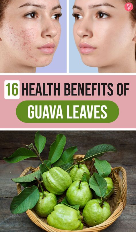 Many of us enjoy eating guavas and are aware of their many natural health benefits as well! However, have you ever wondered about the benefits of guava tree leaves? Yes, you got that right! More often than not, we just focus on the fruits and vegetables, and discard the leaves that come attached to them! #homeremedies #remedies #naturalremedies #skin #skincare #glowskin #bodyscrubs #skincaretips #healthyskin Guava Leaves Benefits, Guava Health Benefits, Health Benefits Of Guava, Benefits Of Guava, Guava Benefits, Guava Tree, Guava Leaves, Guava Fruit, Guavas