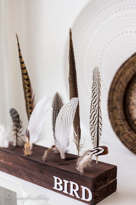 Feather collection display craft idea. Wondering how to decorate with feathers for Fall? You might love this feather display idea. Made with leftover materials it is a quick, easy and fun way to display a collection of pretty feathers. Feather Display Ideas, Feather Display, Feathers Decor, Feather Collection, Bohemian Crafts, Diy Fleur, Block Candles, Fall Wood Signs, Halloween Bottles