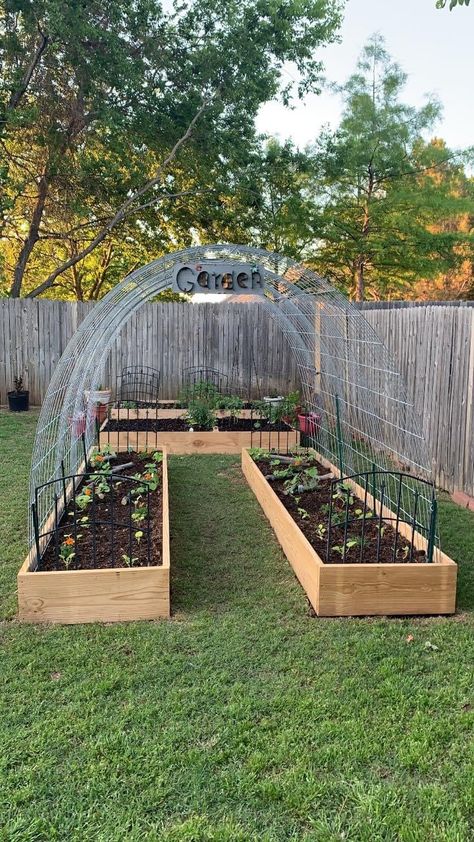 Moonlit Garden, Garden Magic, Small Vegetable Gardens, Plants Growing, Backyard Vegetable Gardens, Veg Garden, Have Inspiration, Home Vegetable Garden, Vegetable Garden Design