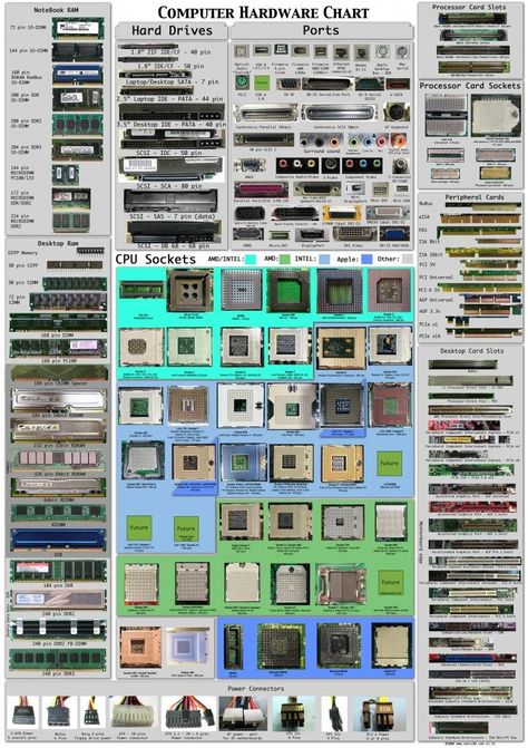 A computer hardware chart that helps you visually identify plugs, ports, sockets, RAM and other computer components. Wojskowy Humor, Cpu Socket, Build A Pc, Teknologi Gadget, Computer Build, Computer Shortcuts, Pc Parts, Computer Knowledge, Computer Basics