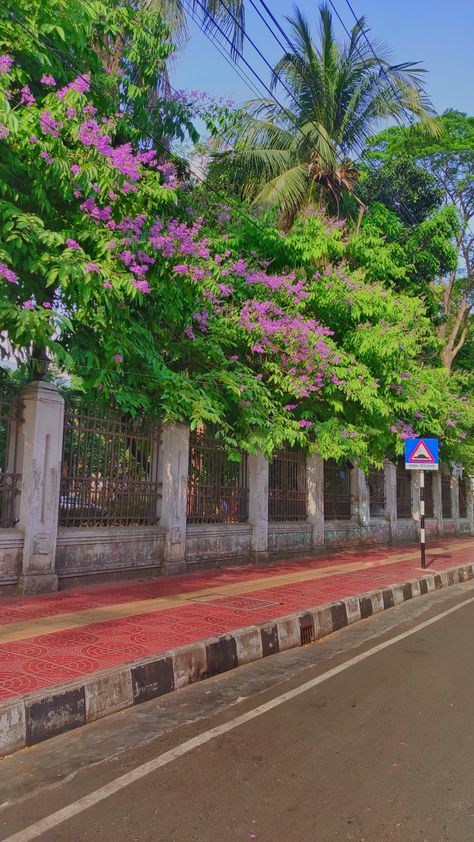 Nature Of Bangladesh, Beauty Of Bangladesh, Bangladesh Village Photography, Road Side View, Bangladesh Aesthetic, Bangladesh Art, Bangladesh Photography, Side Wallpaper, Dhaka University