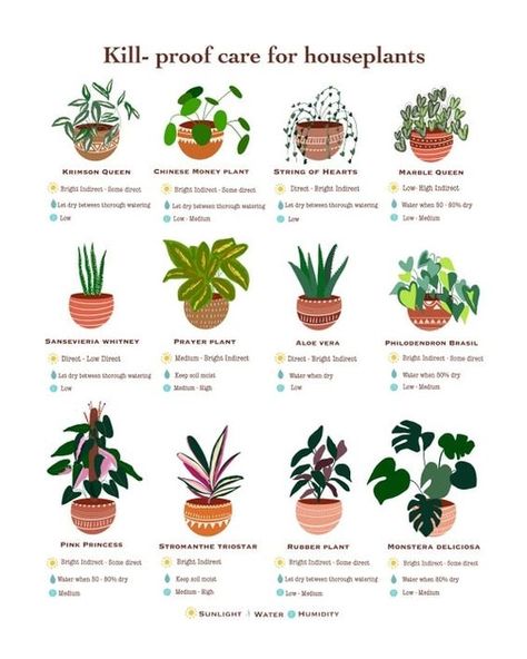 🌿 Kill-Proof Care for Houseplants! 🌿 Do you struggle to keep your houseplants alive? 😅 Don't worry, we've got you covered with these kill-proof plants that even the busiest plant parents can manage! ✨ Top picks for easy care: Krimson Queen: Thrives in bright indirect light and loves to dry out between waterings. 🌞💧 Chinese Money Plant: Enjoys some direct light and low to medium humidity. Easy peasy! 🪴 String of Hearts: Drought-tolerant and loves bright, indirect light. A true survivor! 🌿 M... Garden Notes, Plant Care Instructions, Planting Tips, Plant Mama, Plant Magic, Plant Journal, Plant Parent, Chinese Money Plant, Gardening Hacks