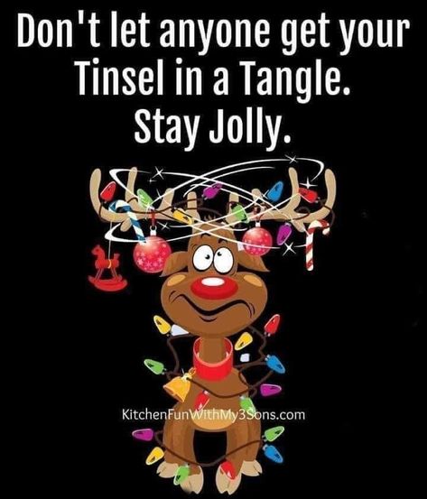 Christmas Critters, Holiday Morning, Merry Christmas Pictures, Christmas Memes, Holiday Quotes, Christmas Post, Holiday Humor, Christmas Mood, E Card