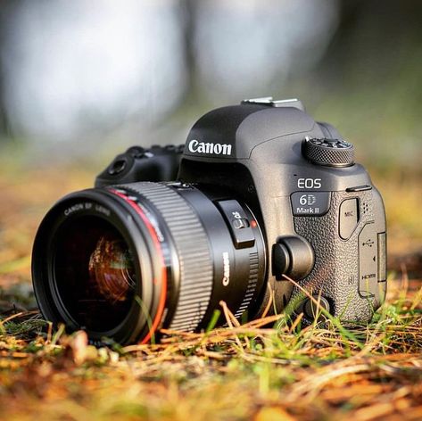 Good Cameras, Cannon Camera, Kamera Dslr, Nikon D5000, Canon Dslr Camera, Camera Wallpaper, Camera Collection, Best Dslr, Infrared Photography