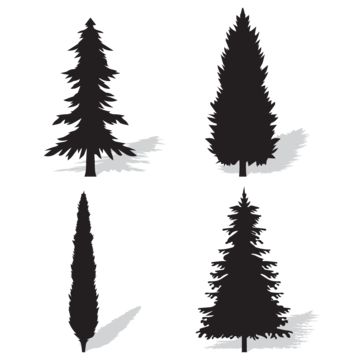 fir tree,spruce trees,silhouette set,pine trees,pine tree background,tree,spruce,pine,nature,plant,christmas,forest,decoration,natural,symbol,branch,xmas,decorative,silhouette,decor,botany,simple,concept,collection,scenery,black,mountain,outdoor,shadow,isolated,environmental,environment,fir-tree,garden,drawing,branches,christams,fir free,christmas tree,chritmas,cartoon pine tree,winter trees,cartoon fir tree,pine tree,spruces,fir,sketch,landscape,view,stencil,jungle,jungle tree,forest tree Drawing Branches, Natural Symbol, Sketch Landscape, Trees Silhouette, Background Tree, White Oak Tree, Silhouette Decor, Pine Tree Silhouette, Spruce Trees