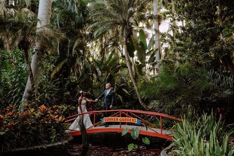 See Sunken Gardens, a beautiful Tampa Bay wedding venue. Find prices, detailed info, and photos for Florida wedding reception locations. Sunken Gardens Wedding, Florida Wedding Reception, Sunken Gardens, Sunken Garden, Florida Wedding Venues, Garden Weddings, Garden Planner, Wedding Reception Locations, Engagement Photo Locations