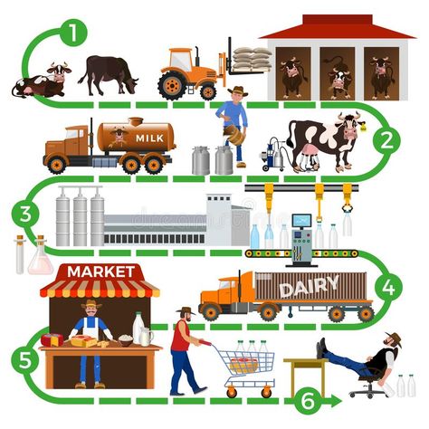 Industry Illustration, Milk Industry, Mother Dairy, Milk Processing, Process Infographic, Dairy Industry, Classroom Displays, Supply Chain, Manufacturing Process