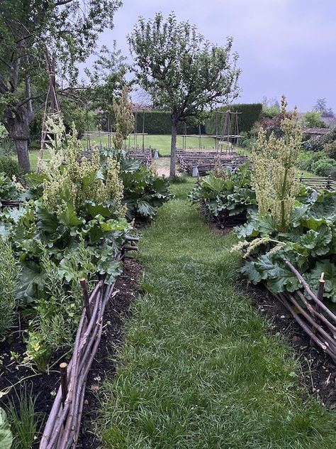 Dream Garden Vegetable, Wattle Fencing, Wattle Fence, Cabin Garden, Colonial Garden, Dig Gardens, My French Country Home, French Country Home, Garden Vegetable