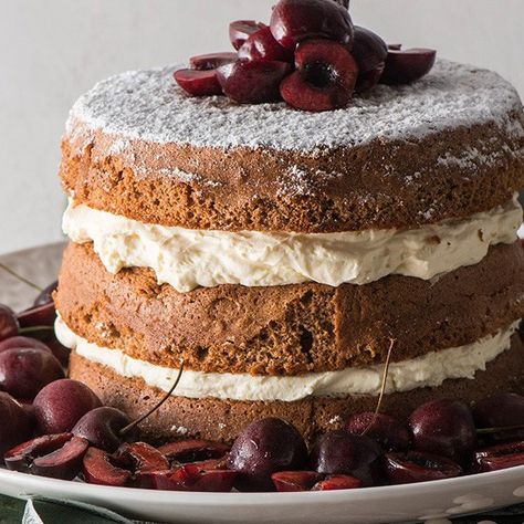 Wheel&Barrow Homewares > Desserts > Gingerbread Spice Sponge Cake Christmas Sponge Cake, Gingerbread Pudding, Roasted Quince, Sponge Cake Decoration, Gingerbread Spice, Raspberry Scones, Sponge Cake Recipe, Wheel Barrow, Bread And Butter Pudding