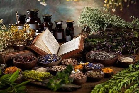 Health World, Naturopathy, Alternative Therapies, Alternative Health, Medicinal Plants, Herbal Medicine, Beauty Cosmetics, Ayurveda, Home Remedies