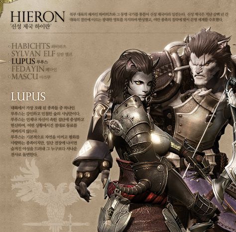 Storyline Ideas, Fantasy Classes, Korean Text, Outfit Reference, After The Fall, Fantasy Beasts, Fantasy Races, Concept Art Character, Game Concept Art