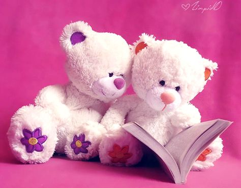 Free download resolution cute teddy bears bear 292042jpg for Desktop, Mobile & Tablet. [1024x800]. 76+ Cute Teddy Bears Wallpapers on WallpaperSafari टेडी बियर, Teddy Images, Happy Teddy Day Images, Teddy Day Images, Photo Ours, Cute Teddy Bear Pics, Teddy Bear Day, Teddy Pictures, Teddy Bear Images