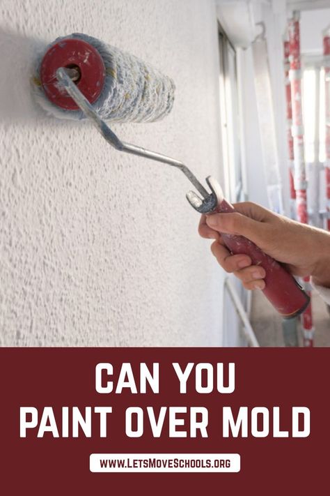 How To Fix Mold In Bathroom, Mold On Walls, Painting Basement Walls, Fix Hole In Wall, Mold On Bathroom Ceiling, Yoga Space At Home, Kilz Paint, Painting Bathroom Walls, Spider Killer