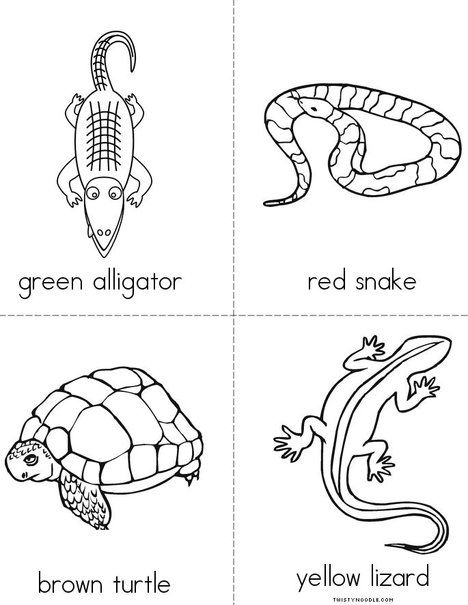 Color the reptiles! Mini Book from TwistyNoodle.com Reptile Worksheets, Reptiles Worksheet, Reptile Coloring Pages, Sentra Persiapan, Reptiles Preschool, Reptiles Activities, Reptile Crafts, Pre-k Science, Science Printables