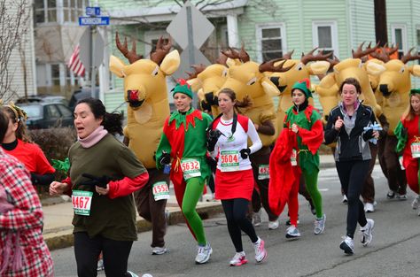 Grandma Got Run Over By A Reindeer Diy, Thanksgiving Running Costume, Christmas Running Costume, Snowman Running Costume, Reindeer Running Costume, Reindeer Running, Reindeer Run, About Animals, Block Party