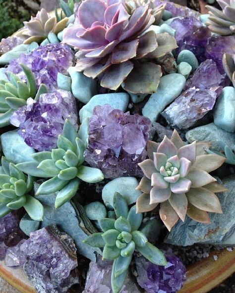 @cocominimalist on Instagram: “🌿🔮How amazing of crystal garden🌿🌿 . Follow us @cocominimalist  to see more amazing crystal . . . Credit​ via pinterest . . #amethyst…” Purple, Plants, Green