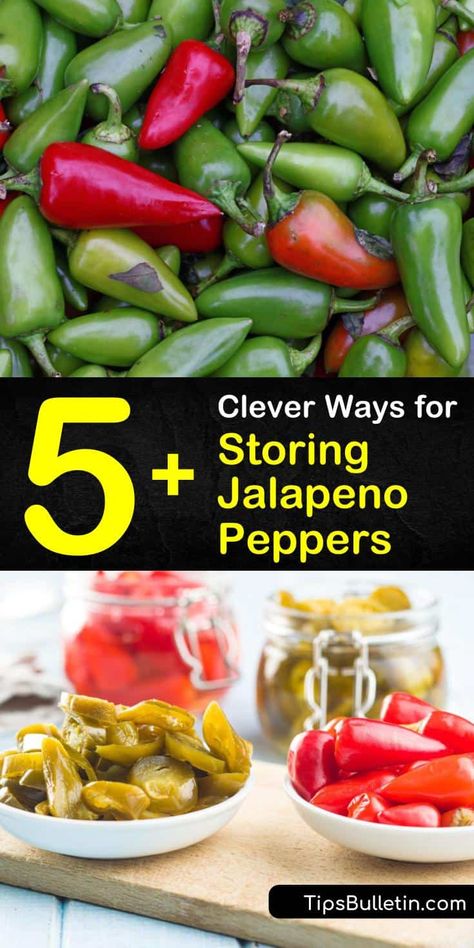 How To Save Jalapeno Peppers, Jalapeno Freezing, Can You Freeze Jalapeno Peppers, Storing Jalapeno Peppers, How To Can Jalapeno Peppers, How To Preserve Jalapeno Peppers, Preserving Jalapeno Peppers, Can Jalapeno Peppers, Store Jalapenos