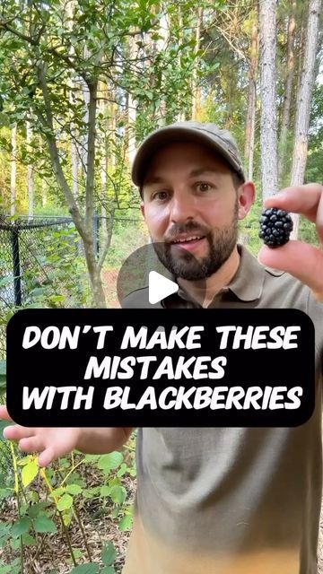 𝐆𝐚𝐫𝐝𝐞𝐧𝐢𝐧𝐠 | 𝐏𝐥𝐚𝐧𝐭𝐢𝐧𝐠 | 𝐇𝐚𝐫𝐯𝐞𝐬𝐭𝐢𝐧𝐠 on Instagram: "How to properly grow BLACKBERRIES 🥰
-
This video belongs to @theplanttechie so go check out their Instagram. Don’t forget to follow for more knowledgeable gardening tips @gardeners.academy ! 💚

This is shared for the purpose of spreading positivity. If the content OWNER (visual/audio) of this post has any issue, dm me  and I’ll remove the post.
-
(All rights® are reserved & belong to their respective owners)
-
Credits🎥 @theplanttechie 
Publisher 🎬@gardeners.academy
-

#blackberries #fruit 

#gardening #garden #backyardgardening #gardenlove #veggiegarden #indoorplants" Grow Blackberries, Growing Blackberries, Berry Picking, Spreading Positivity, Gardening Diy, School Garden, Grow Your Own Food, Support System, Veggie Garden