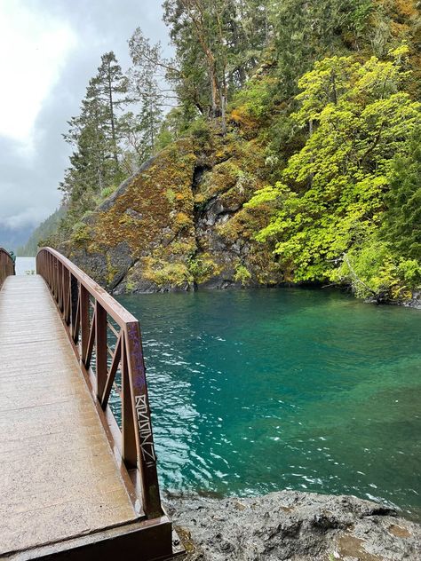 Adventures with Apple : Lake Crescent and the Spruce Railroad Trail — ciderpress lane Lake Crescent Washington, Aristocrat Trailer, Lake Crescent, Crescent Lake, Washington Travel, The Spruce, Olympic Mountains, Port Angeles, Camp David