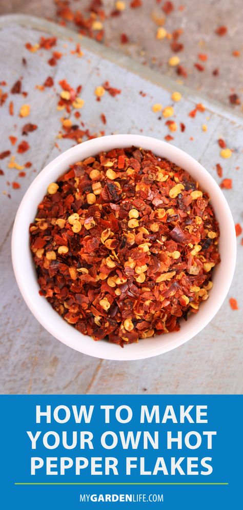 Capture that summer sizzle to use in your favorite recipes all year round! We’ll show you how to take your hot pepper harvest and make red pepper flakes in just 5 easy steps. Check out the article by clicking on this pin! Diy Crushed Red Pepper Flakes, Homemade Crushed Red Pepper Flakes, Diy Red Pepper Flakes, How To Make Red Pepper Flakes, Homemade Red Pepper Flakes, Red Pepper Flakes For Chickens, Crushed Red Pepper Recipes, Red Pepper Flakes Recipes, Pepper Harvest