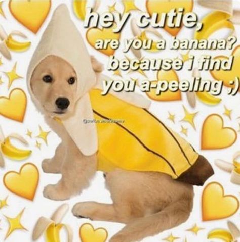 Flirty Memes, Heart Meme, Cute Love Memes, Crush Memes, Cute Messages, Lovey Dovey, Relationship Memes, Cute Memes, Wholesome Memes